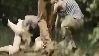 خشب الأبنوس الهواة شهواني الحمار الكبير