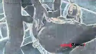 سمور شد الشعر يا حارس الشاطئ